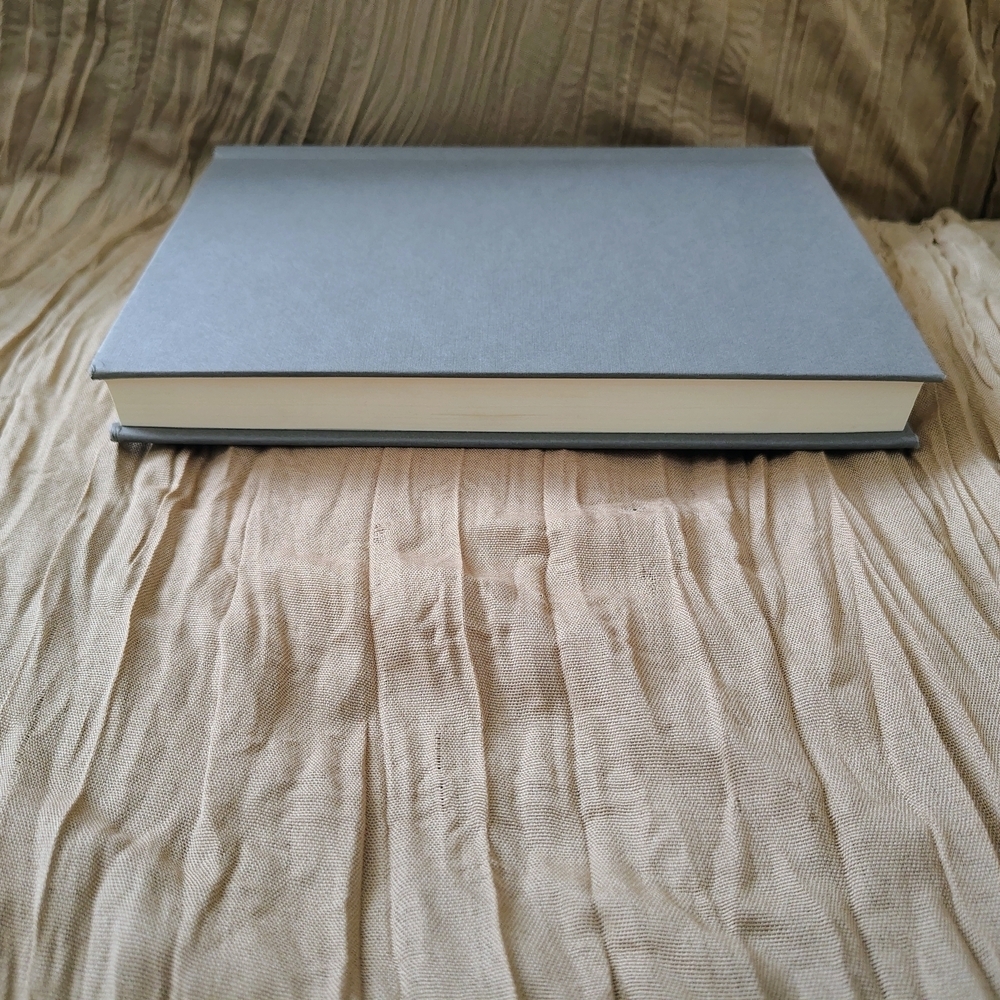 Washertown: An American Masterpiece! Hardcover Ernest Arlington Twain - Picture 8 of 10